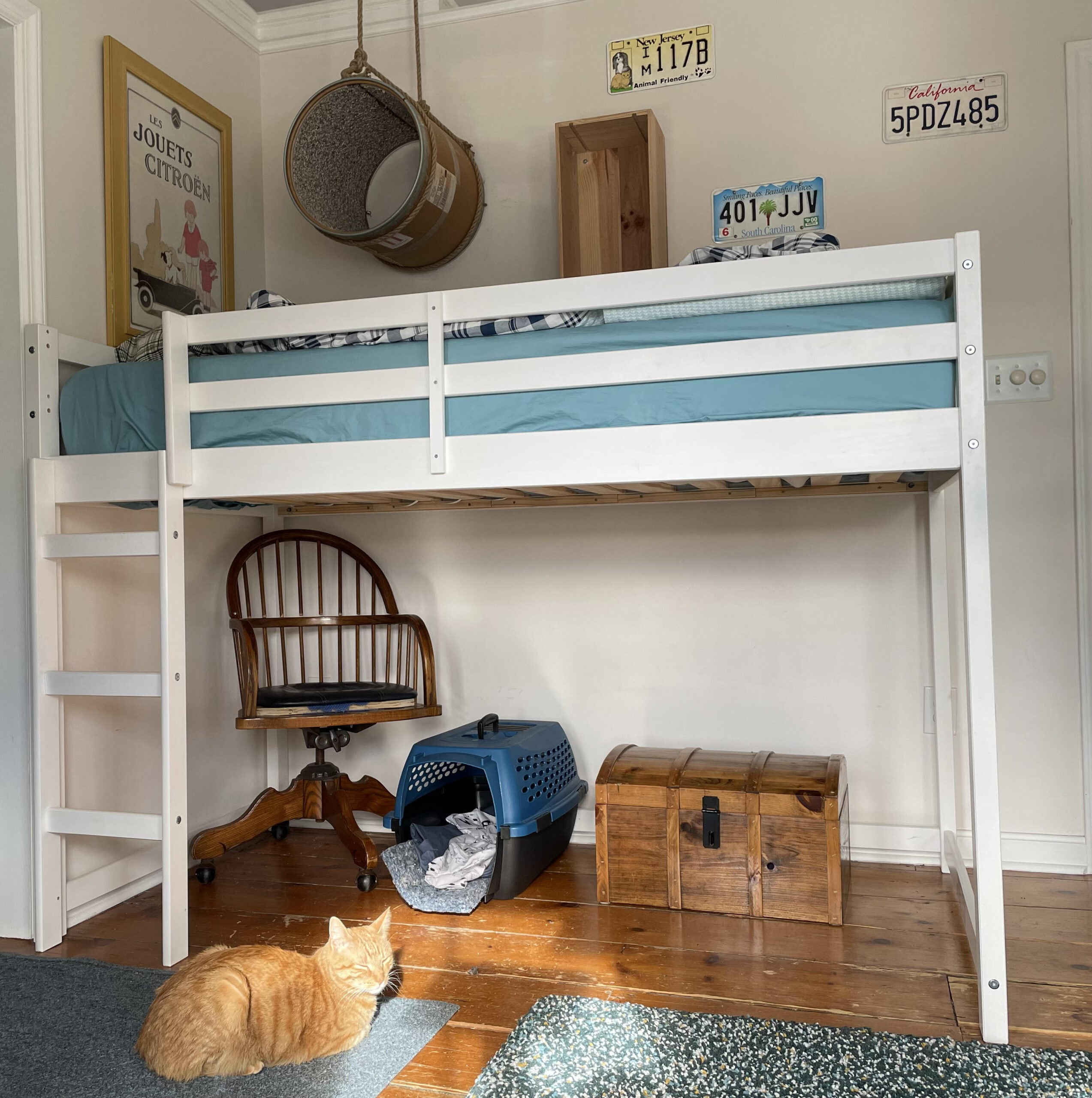 Newly assembled kid's short loft bed. The cat for whom it was purchased lounges on the floor in front of the bed.